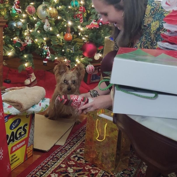 Blue Christmas 2021 - Harlee's Tribute πΎ - Picture 2 of 3